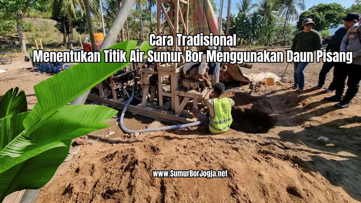 Daun pisang layu deteksi air sumur