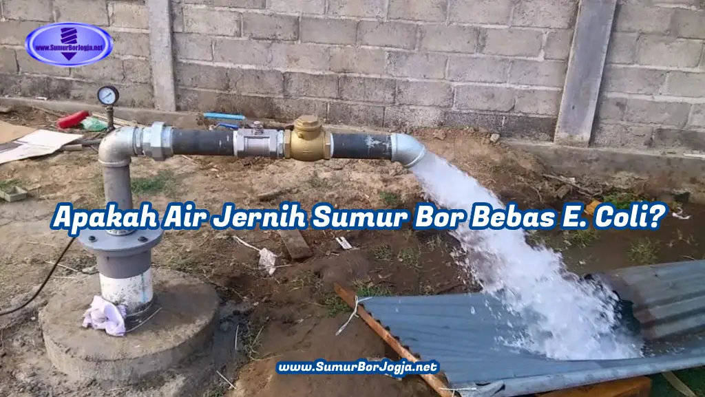 Air jernih dari sumur bor belum tentu bebas E. Coli